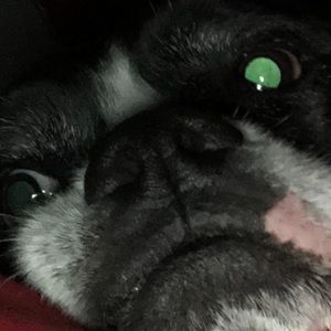 Meet your Posher, Ashlyn